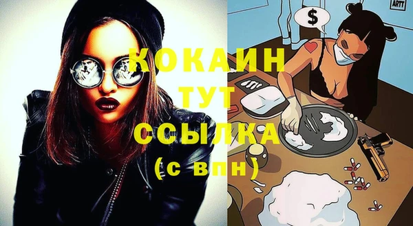 гашик Тайга